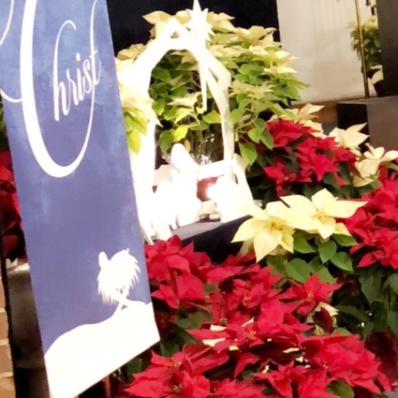 Profile Picture of Casey Lello (@caseylello) on Poshmark