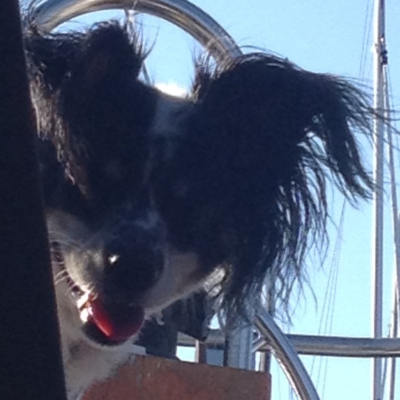 Profile Picture of Susette Rowsell (@rowsettie) on Poshmark