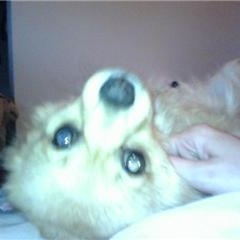 Profile Picture of Alisa Wilcox (@407414866) on Myspace
