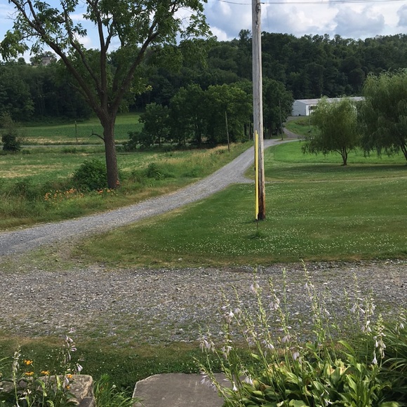 Profile Picture of Lizzie Auker (@liz_auker) on Poshmark