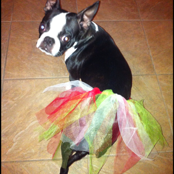 Shawna Snyder - Poshmark Profile Picture of Shawna Snyder (@smsnyder) on Poshmark