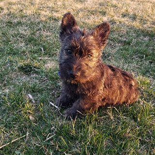 Profile Picture of Mike Weaver (@mike.weaver.1232760) on Facebook