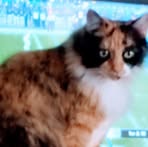 Profile Picture of Eugene Wittman (@Eugene-Wittman) on Facebook