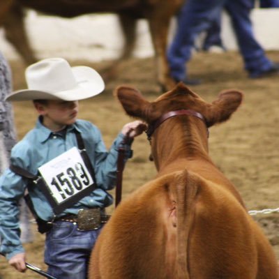 Profile Picture of Keith Schroeder (@SchroederCattle) on Twitter