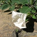 Profile Picture of Brian Norris (@brian.norris_8) on Instagram