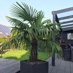 Profile Picture of Mark Bonitz (@scw_terrier) on Instagram