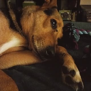 Profile Picture of Adam Kilker (@kilker.adam) on Instagram