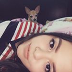 Profile Picture of Sam Murillo (@nicolle_th) on Instagram