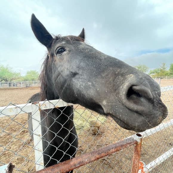 Profile Picture of Colin Kendall (@colinkendall) on Poshmark