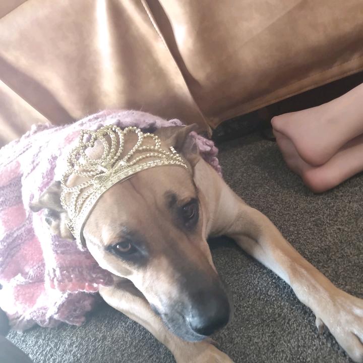 Profile Picture of Ultama_wolf (@ultama_wolf) on Tiktok