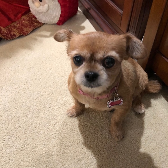 Profile Picture of Panagiotis Giannakopoulos (@pdgopoulos) on Poshmark