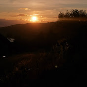 Profile Picture of Claudia Thierstein (@claudiathierstein4298) on Youtube