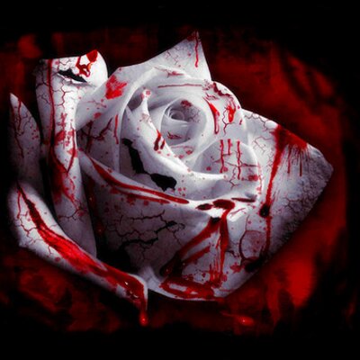 Profile Picture of Stacy Hildreth (@spaceystacy82) on Twitter