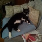 Profile Picture of David Brundage (@DHBrundage) on Facebook