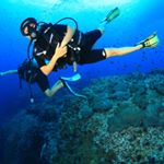 Profile Picture of Hoa Nguyen (@hoanguyenvi) on Instagram