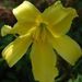 Profile Picture of Lorelle Stark Foster (@lorellef) on Pinterest