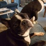 Profile Picture of Jeremy Coco Davis (@jeremy.c.davis.39) on Instagram