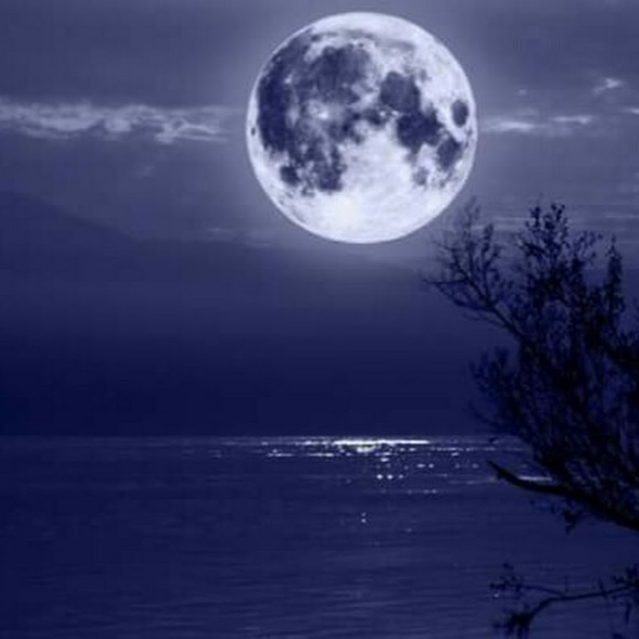 Profile Picture of Kim Blais (@kim_blais) on Poshmark