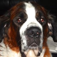 Profile Picture of Peter Saxby (@peter-saxby-3) on Quora