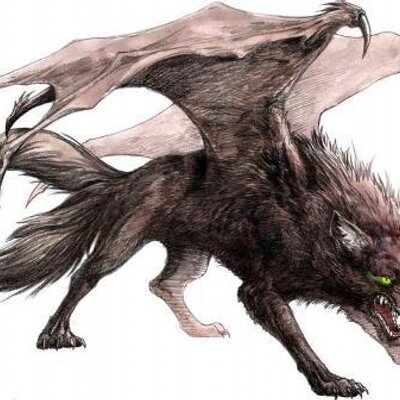 Profile Picture of Hannah D. Schade (@jbiebsrocks10) on Twitter