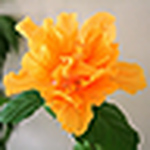 Profile Picture of Kyle Martin (@kmartin9604) on Flickr