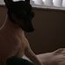 Profile Picture of Sam Benge (@sam.benge.754) on Facebook