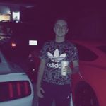 Profile Picture of Michael Tobia (@michaeltobia1) on Instagram