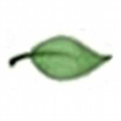 Profile Picture of Tom Morley (@AugustReignTom) on Twitter