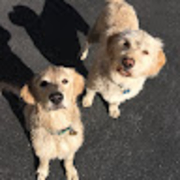 Profile Picture of Olivia Lundstrom (@olundstrom) on Poshmark