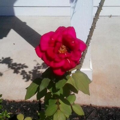 Profile Picture of KATHY JORDAN (@kathyjordan4418) on Twitter