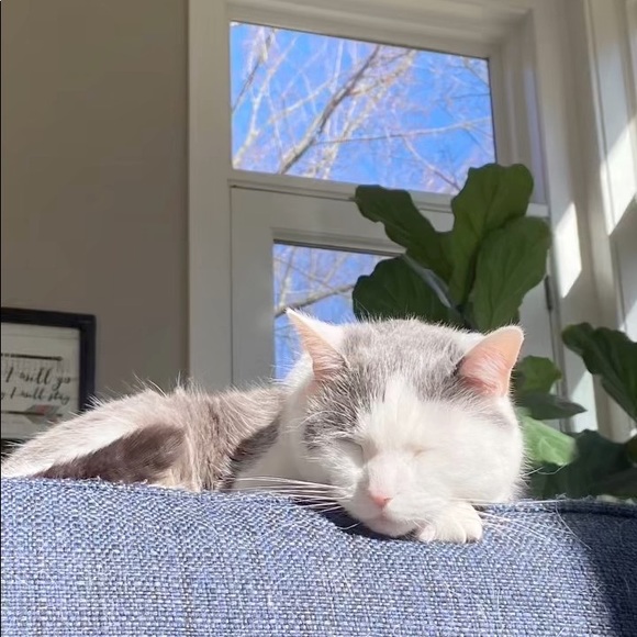 Profile Picture of Sophie Keller (@s0phiek25) on Poshmark