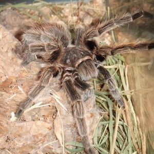 Marcy Luna - Myspace Profile Picture of Marcy Luna (@marcyandanthony) on Myspace