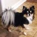 Profile Picture of Marsha Pace (@marsha.pace.980) on Facebook
