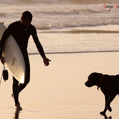 Profile Picture of Tomasz Nowakowski (@TomNowakowski) on Twitter