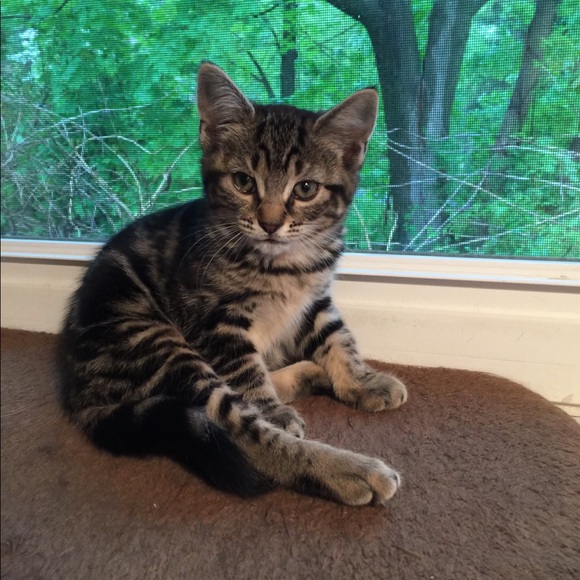 Profile Picture of Doris Morgan (@ohyesidid5) on Poshmark