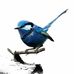 Profile Picture of Donna Rumble (@donna.dunham.9659) on Facebook