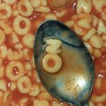 Chase Bridges - Instagram Profile Picture of Chase Bridges (@chasebridgeees) on Instagram