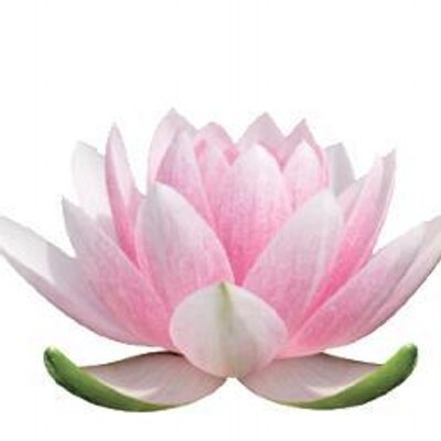 Profile Picture of Ginger Winters (@tibetansnowlion) on Twitter