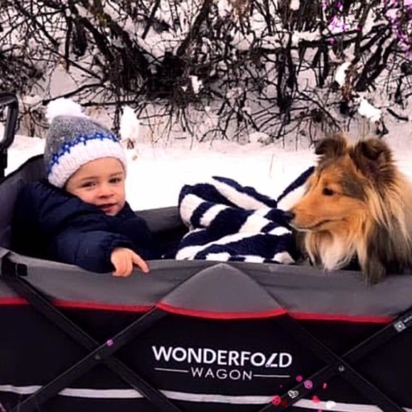 Profile Picture of Myra Barrowman (@myrabarrowman) on Poshmark