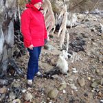 Profile Picture of Ingrid Clausen (@clauseningrid) on Instagram