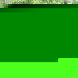 Profile Picture of David Marissa (@204593339) on Myspace