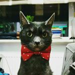 Profile Picture of Jakub Pastusiak (@james.gentleman) on Instagram