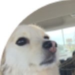 Profile Picture of Amanda Witteman (@kaiafitamanda) on Instagram