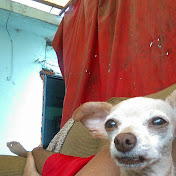 Profile Picture of Jared Soto (@jaredsoto3080) on Youtube