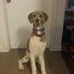 Profile Picture of Doris Perron (@doris.perron.773) on Facebook