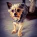 Profile Picture of Eric Jasper (@eric.jasper.184) on Facebook