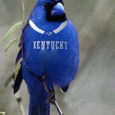 Profile Picture of JimTom Sallee (@JimTom132) on Twitter