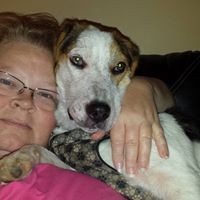 Profile Picture of Dawn Joseph-caskey (@dawn-joseph-caskey) on Quora