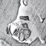 Profile Picture of Rusty-owen Russell (@rusty36328) on Instagram