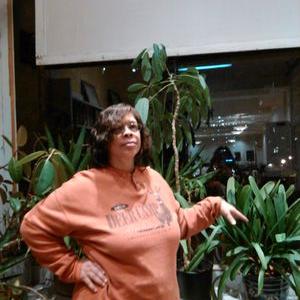 Profile Picture of Donna Andrews (@donnaandrews35) on Twitter